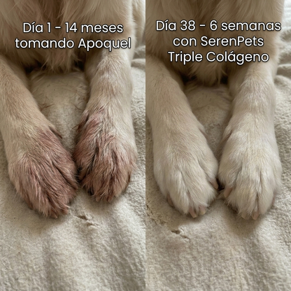Seren Triple Colágeno Marino